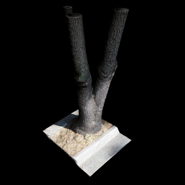 tree Modèle 3D .c4d .max .obj .3ds .fbx .stl .blend 