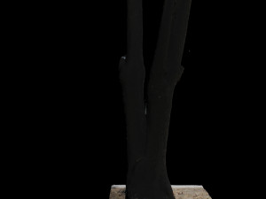 tree Modèle 3D