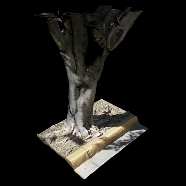 tree Model 3D .c4d .max .obj .3ds .fbx .stl .blend 
