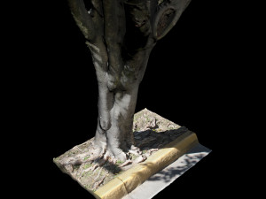 tree 3D Model