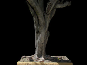 tree 3D Model