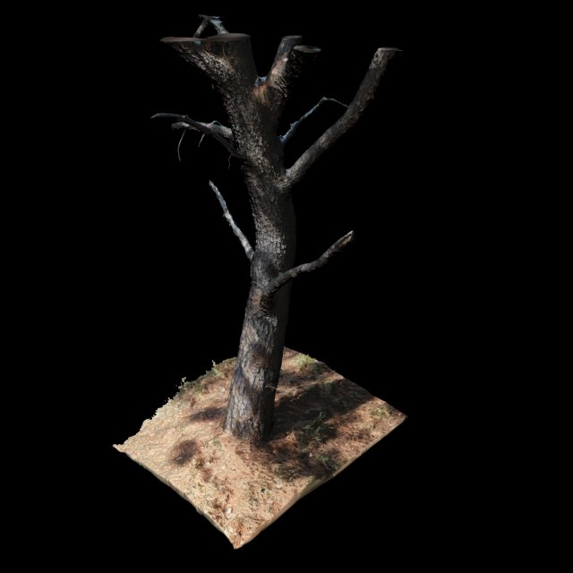 tree Modèle 3D .c4d .max .obj .3ds .fbx .stl .blend 