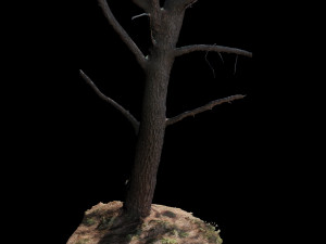 tree Modèle 3D