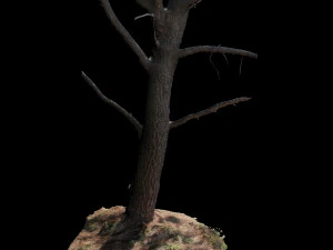 tree 3D Model