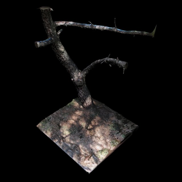 tree Modelo 3D .c4d .max .obj .3ds .fbx .stl .blend 