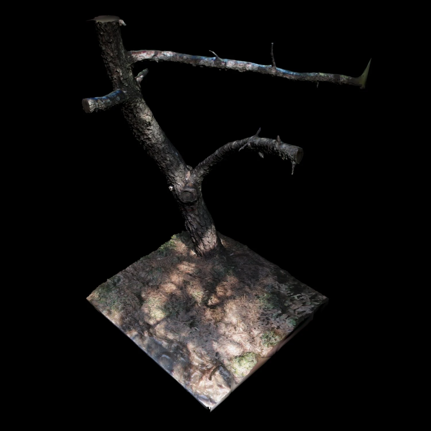 tree 3D Model .c4d .max .obj .3ds .fbx .stl .blend 