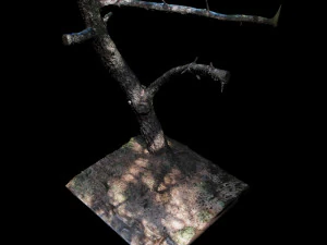 tree 3D Model