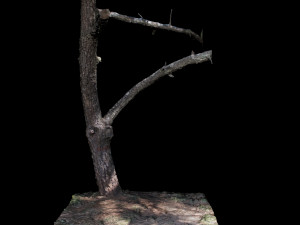 tree Modelo 3D