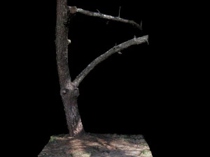 tree 3D Model