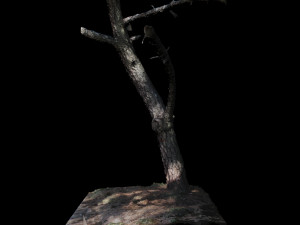 tree Modelo 3D