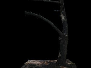 tree Modelo 3D
