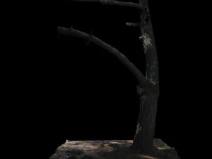 tree 3D Model