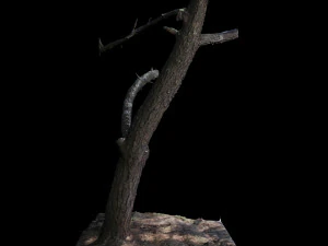 tree 3D Model