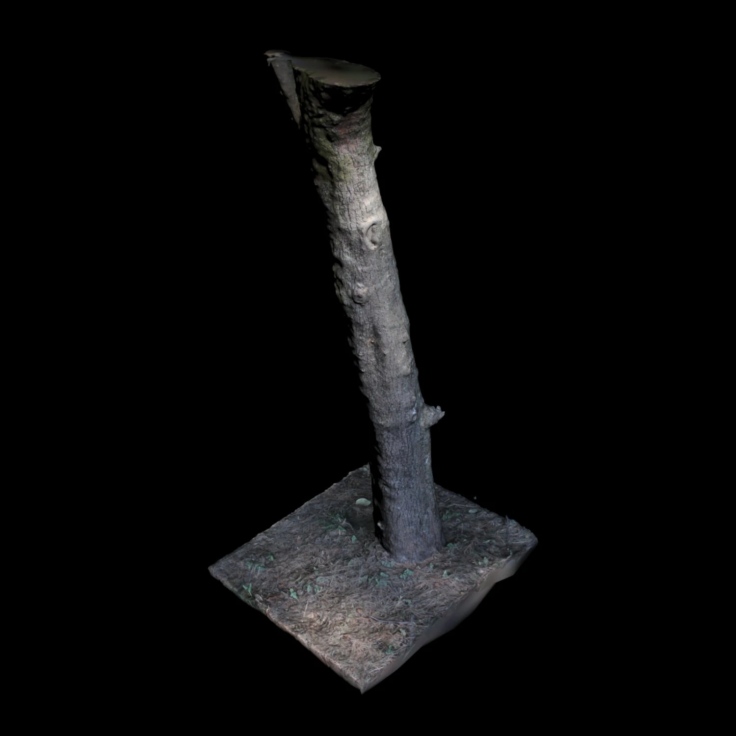 tree 3D Model .c4d .max .obj .3ds .fbx .stl .blend 