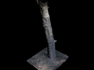 tree Modelo 3D