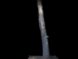 tree Modelo 3D