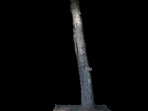 tree 3D Model