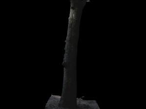 tree Modelo 3D