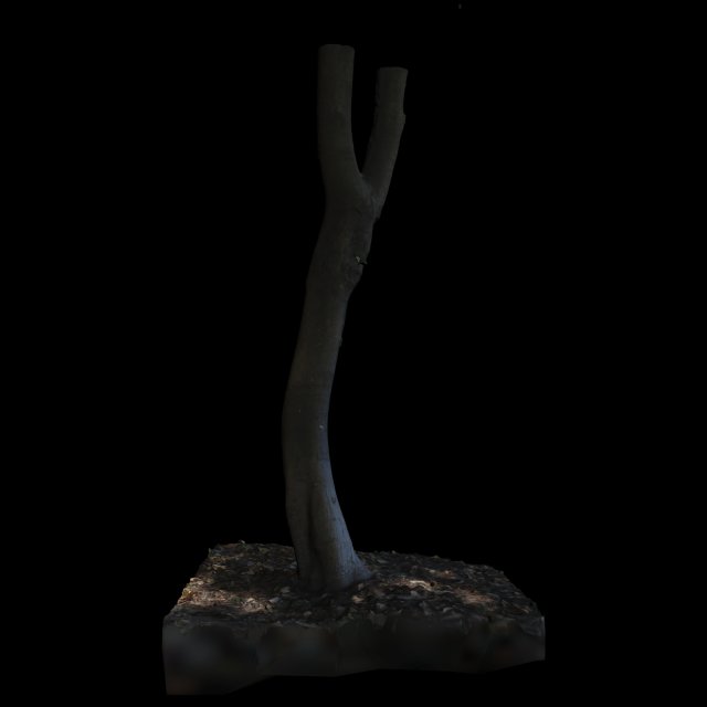 tree 3D Модель .c4d .max .obj .3ds .fbx .stl .blend 