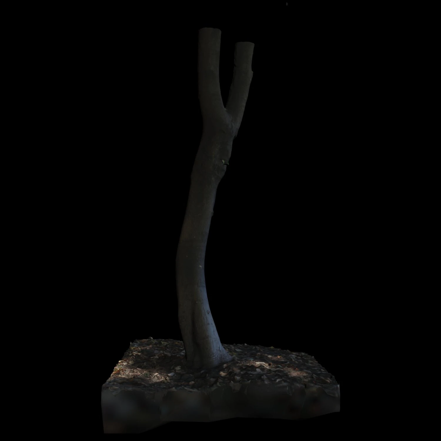 tree 3D Model .c4d .max .obj .3ds .fbx .stl .blend 