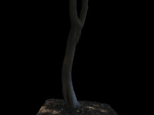 tree 3D Model