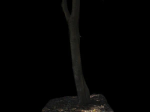 tree 3D Model