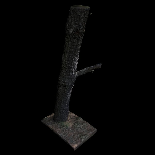 tree 3D मॉडल .c4d .max .obj .3ds .fbx .stl .blend 