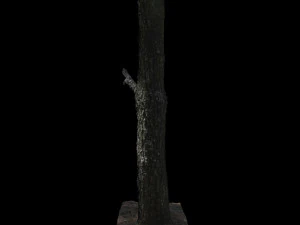 tree 3D Model