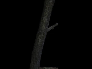 tree 3D Model