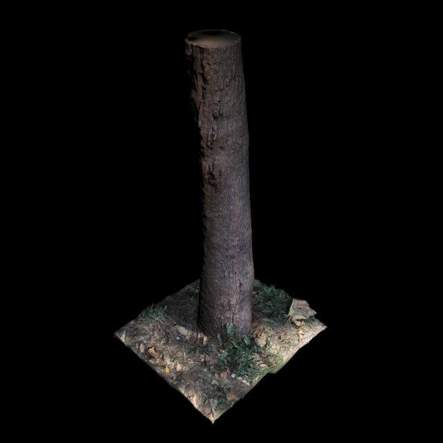 tree Modelo 3D .c4d .max .obj .3ds .fbx .stl .blend 
