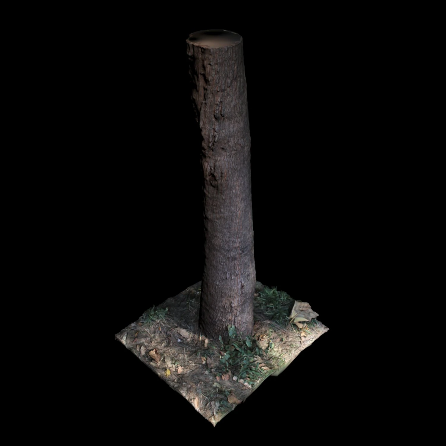 木 3Dモデル .c4d .max .obj .3ds .fbx .stl .blend 