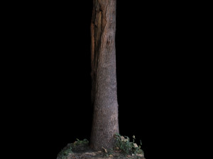 tree Modelo 3D