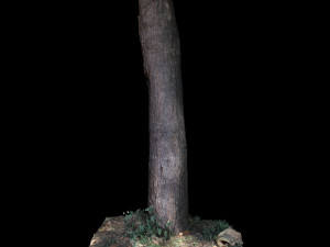 tree Modelo 3D