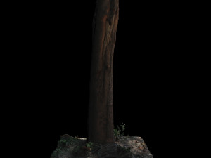 tree Modelo 3D