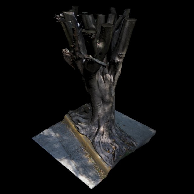 tree 3D Model .c4d .max .obj .3ds .fbx .stl .blend 