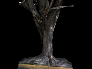 tree 3D Model