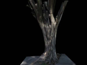 tree 3D Model