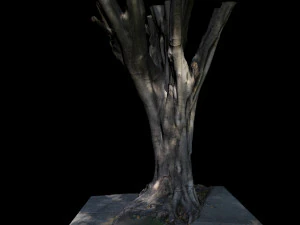 tree 3D Model
