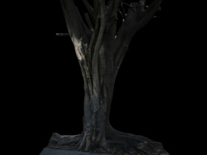 tree 3D Model