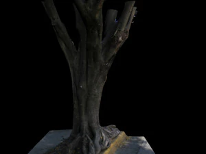 tree 3D Model