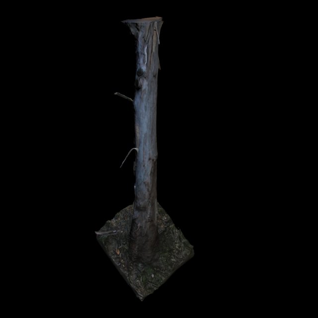 tree 3D Модель .c4d .max .obj .3ds .fbx .stl .blend 