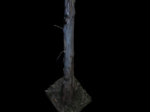 tree Modelo 3D