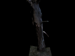 tree 3D Модель