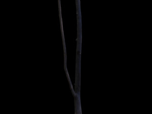 tree Modelo 3D