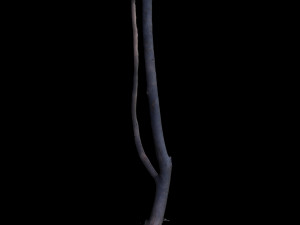 tree Modelo 3D