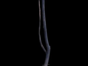 tree 3D Model