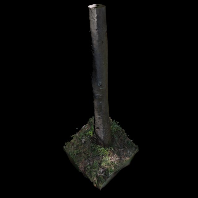 tree Modèle 3D .c4d .max .obj .3ds .fbx .stl .blend 