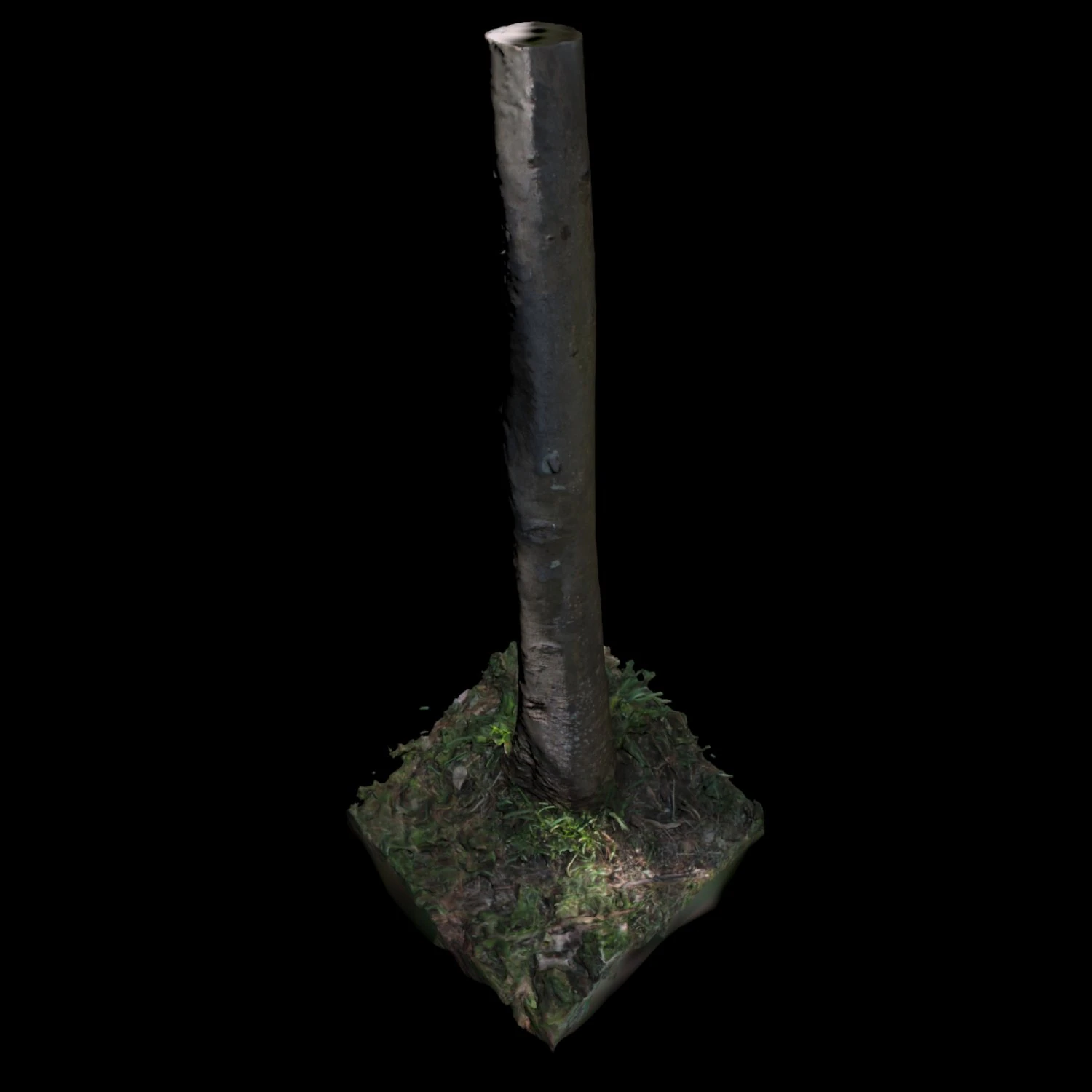 tree 3D Model .c4d .max .obj .3ds .fbx .stl .blend