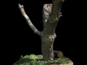 tree 3D 모델