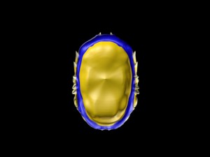 sinister clown mask 3Dモデル